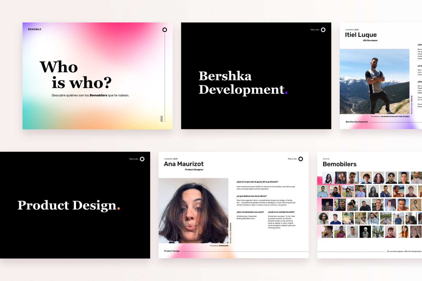 Employees presentation material